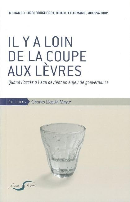 Il y a Loin de la Coupe Aux Levres: Quand l'Acces a l'Eau Devient un Enjeu.. Books