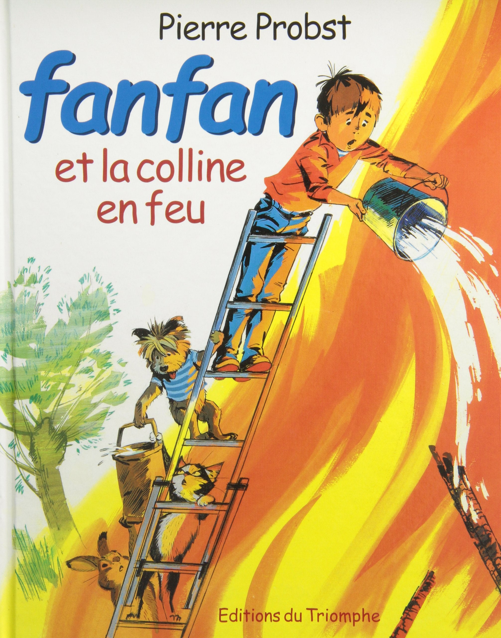 Fanfan et la colline en feu Children's books