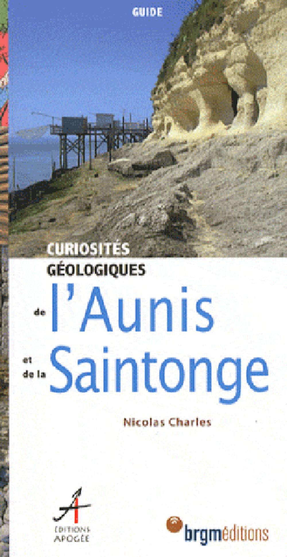 Curiosités géologiques de l'Aunis et de la Saintonge book