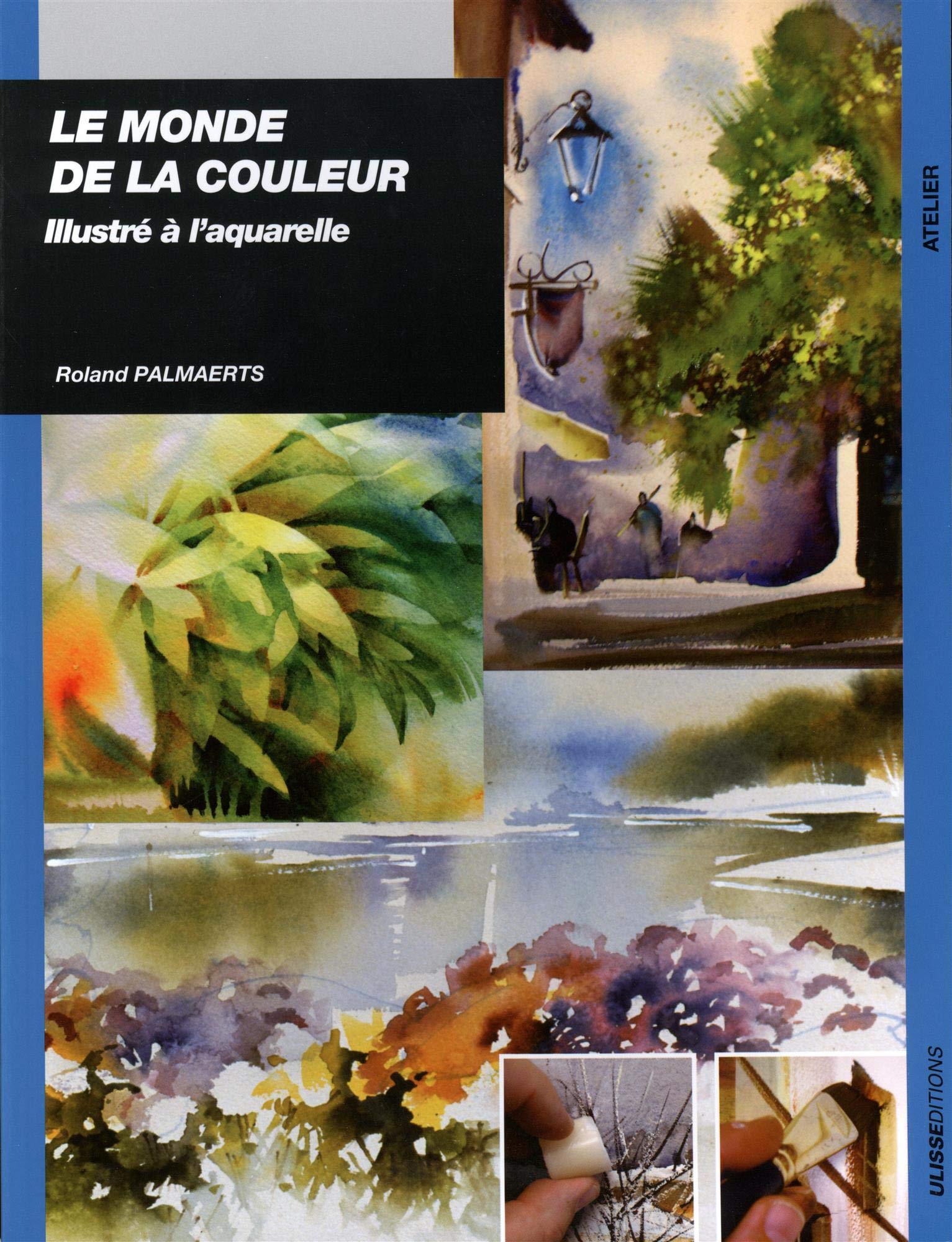 LE MONDE DE LA COULEUR ILLUSTRE A L'AQUARELLE Leisure, Home & Garden