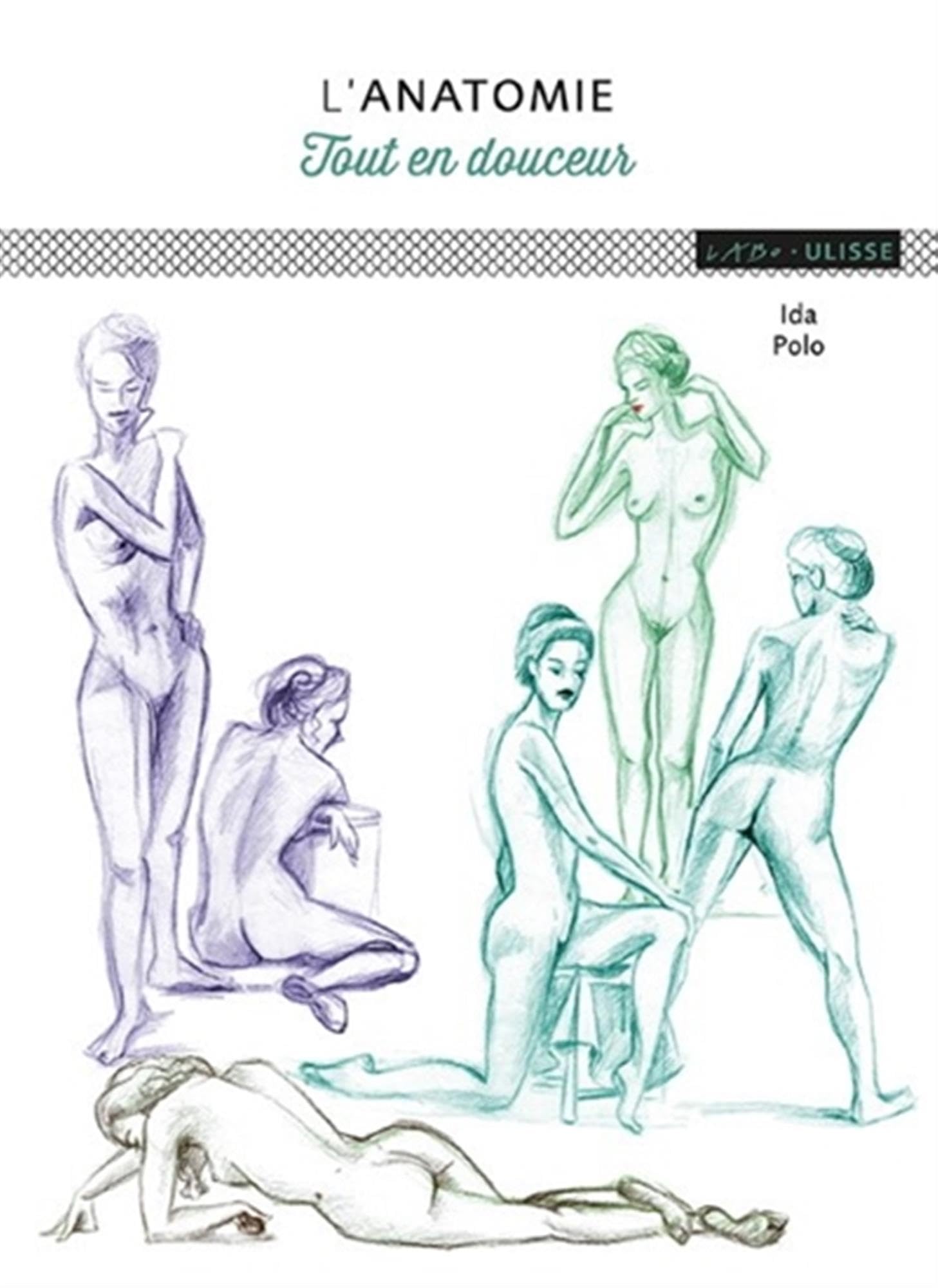 L'anatomie tout en douceur: TOUT EN DOUCEUR Hobbies & Crafts
