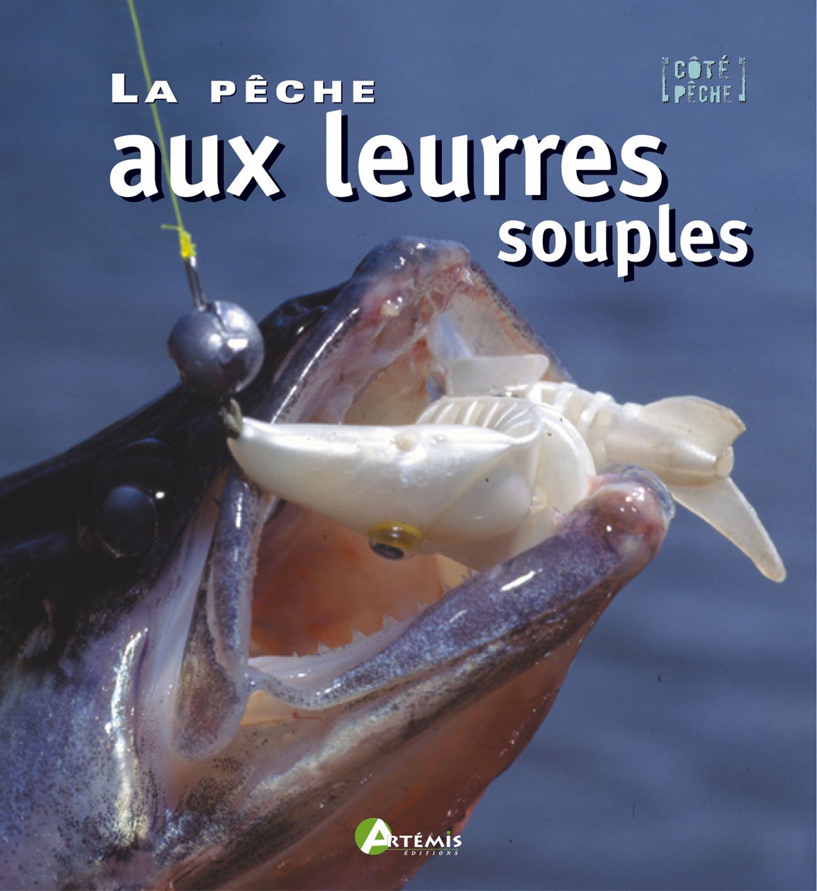 La pêche aux leurres souples Books