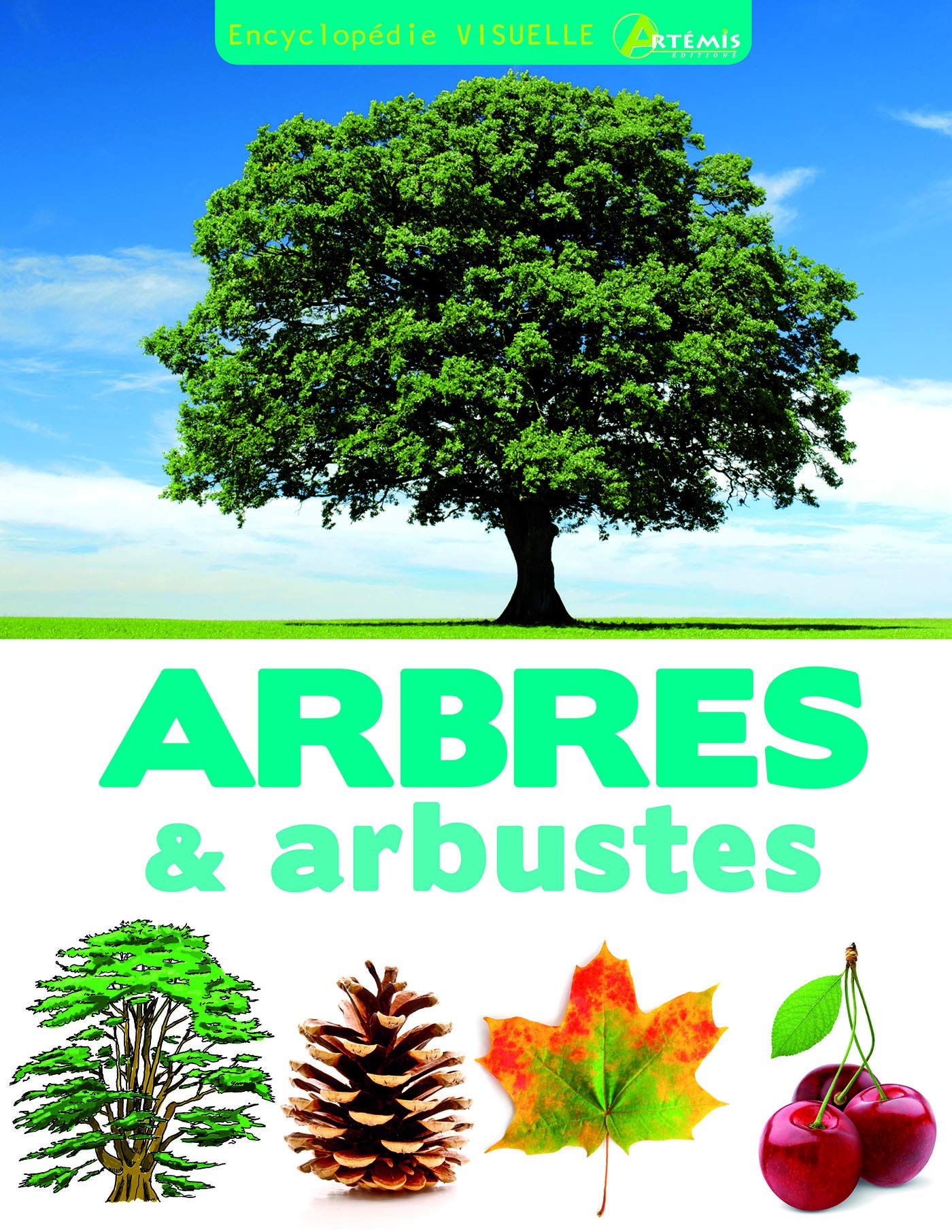Arbres et arbustes Leisure, Home & Garden