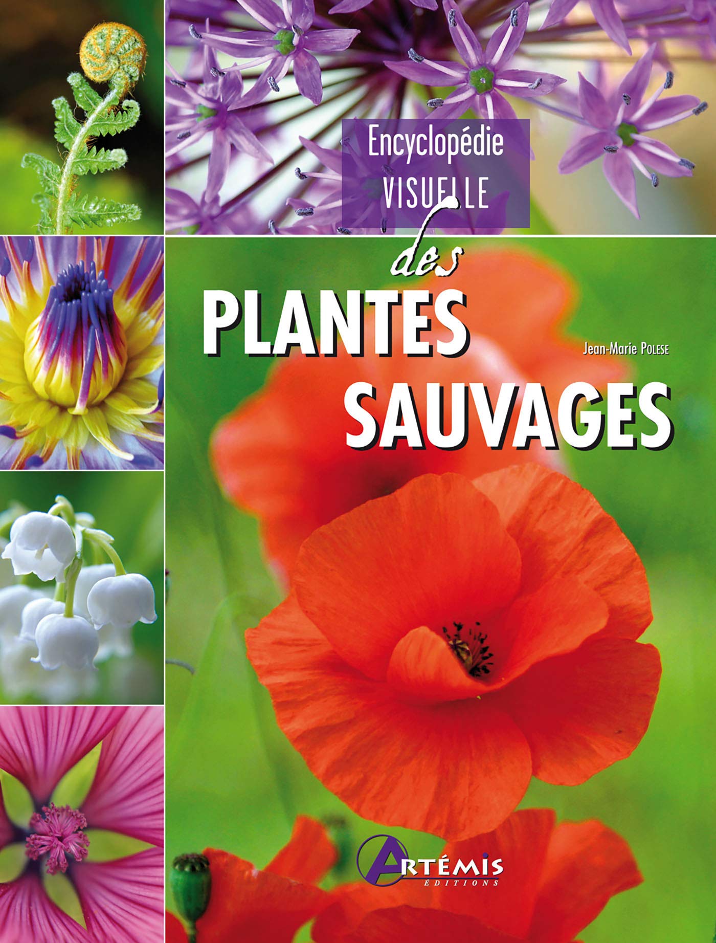 Plantes sauvages Leisure, Home & Garden