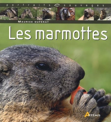 Product Image: Les marmottes