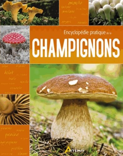 Encyclopédie pratique des champignons Books