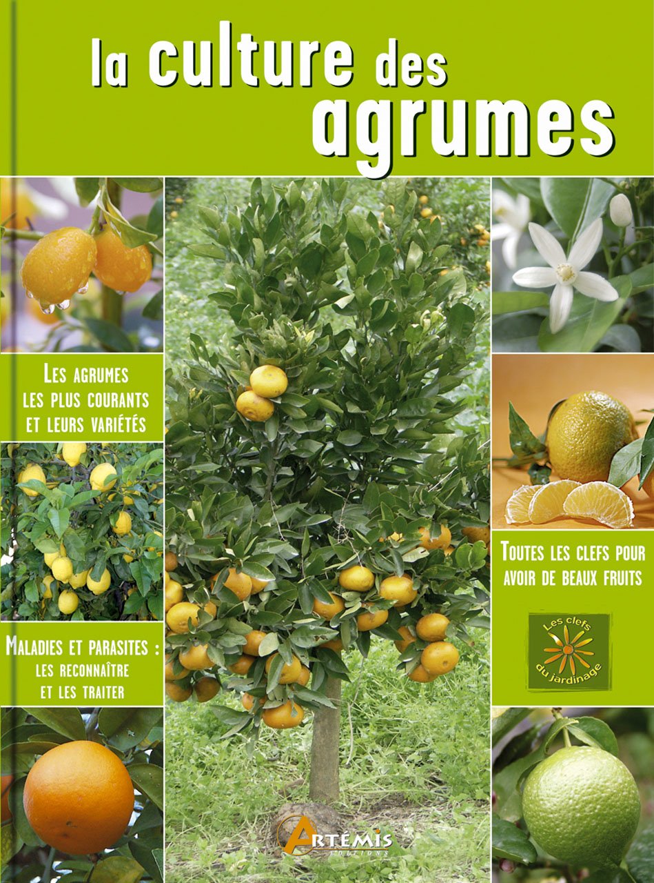 La culture des agrumes Leisure, Home & Garden