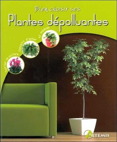 Bien choisir ses plantes dépolluantes Books