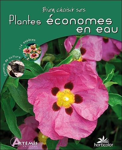 Bien choisir ses plantes économes en eau book