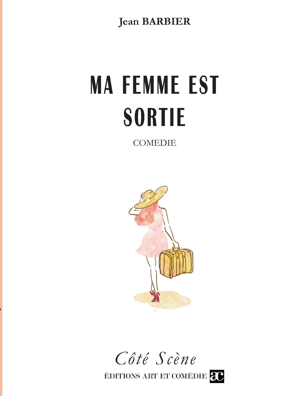 Ma femme est sortie book