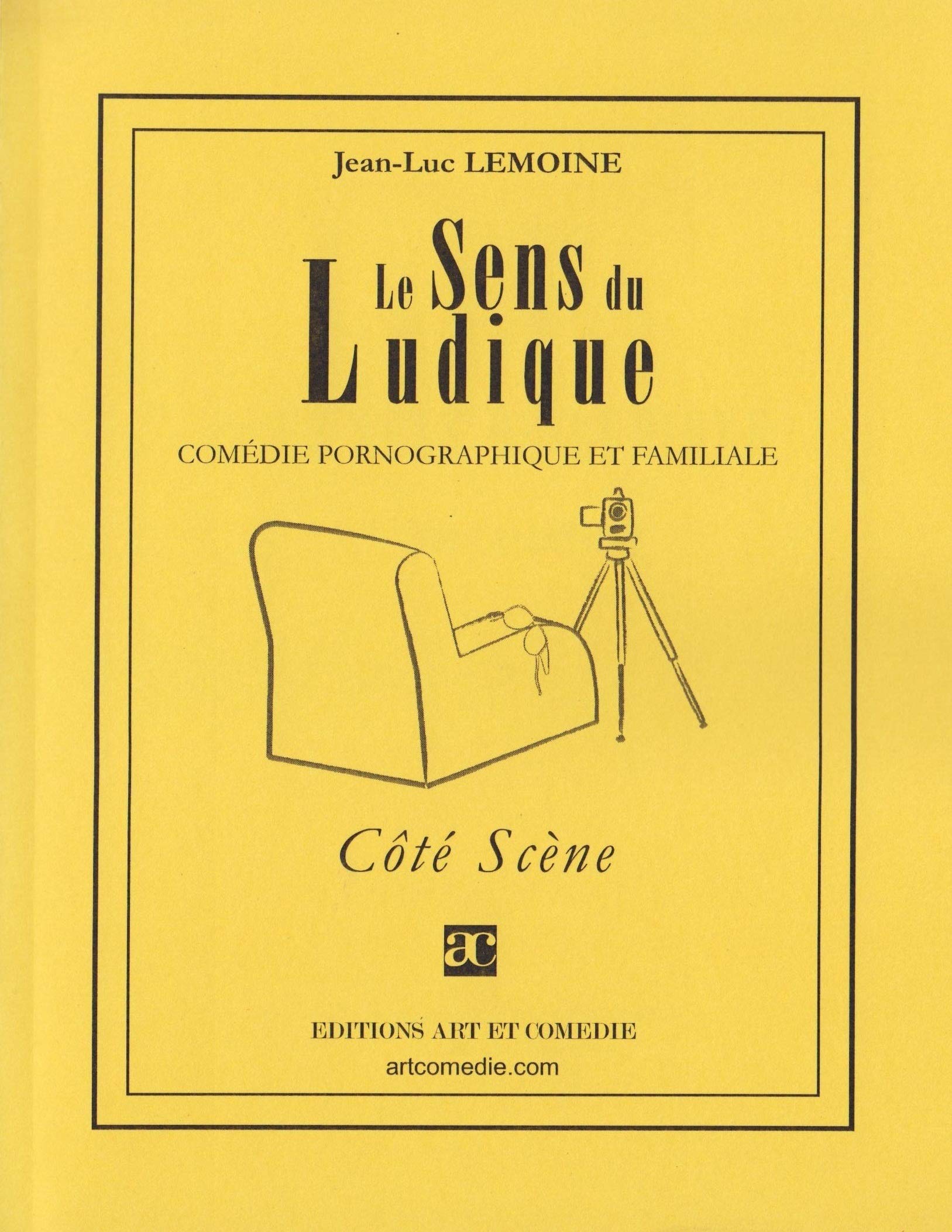 Le sens du ludique : comédie pornographique et familiale book