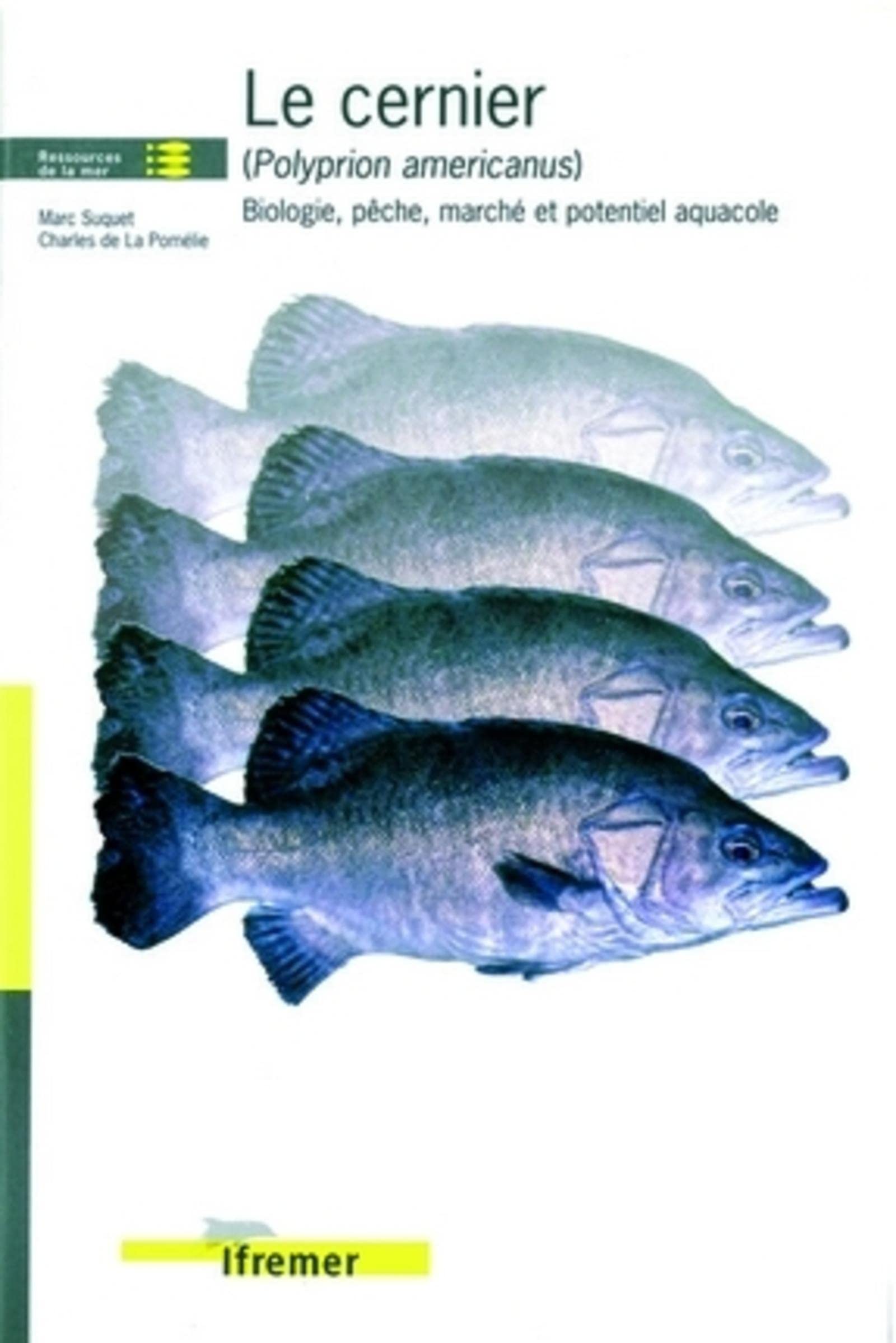 Le cernier (polyprion americanus): Biologie, pêche, marché et potentiel aquacole book