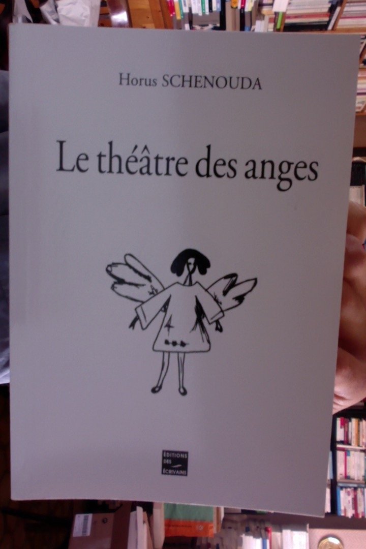 Product Image: Le théâtre des anges