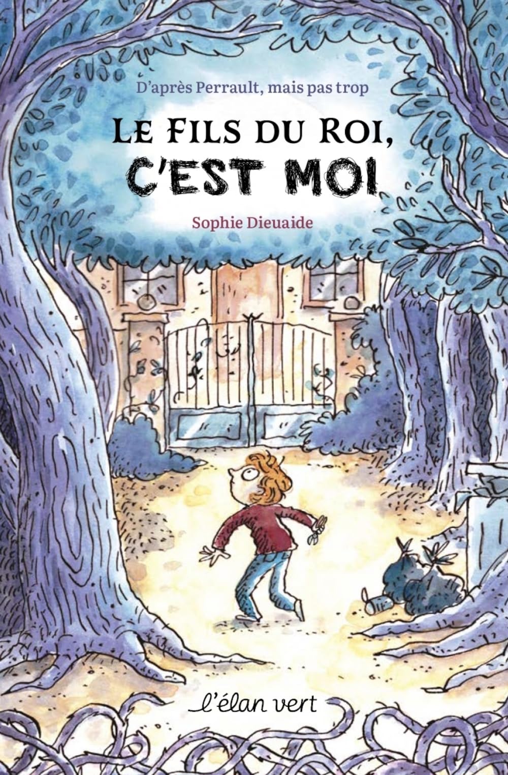 Le fils du roi, c'est moi ! book