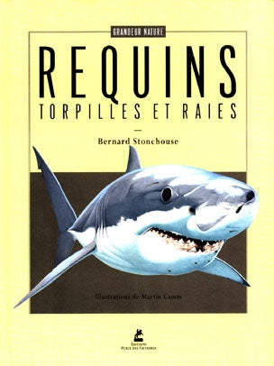 Les requins, les torpilles et les raies book