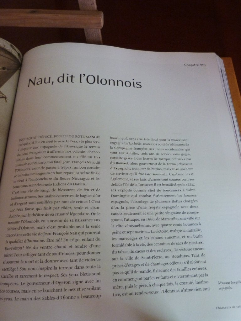 Chasseurs de trésors et autres flibustiers book