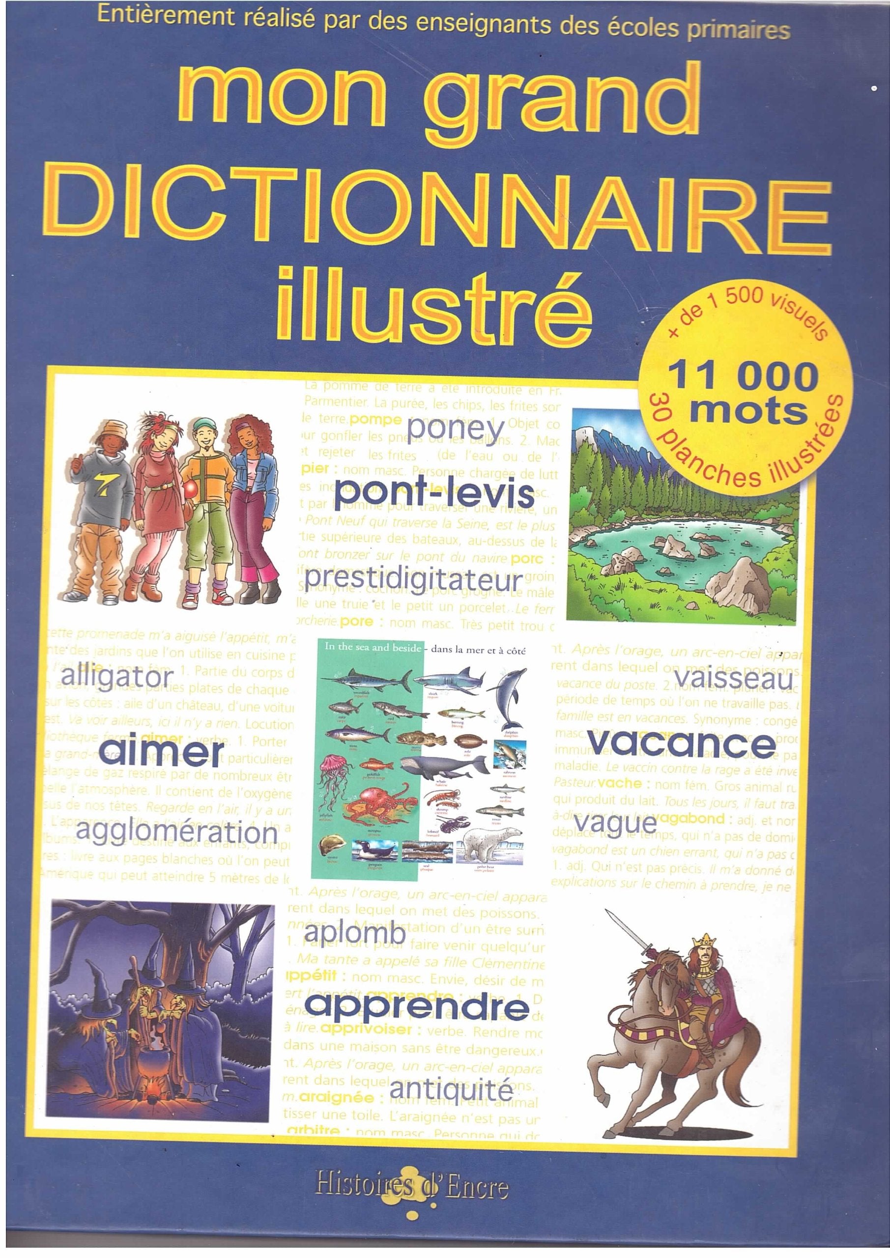 Mon grand dictionnaire illustré Books