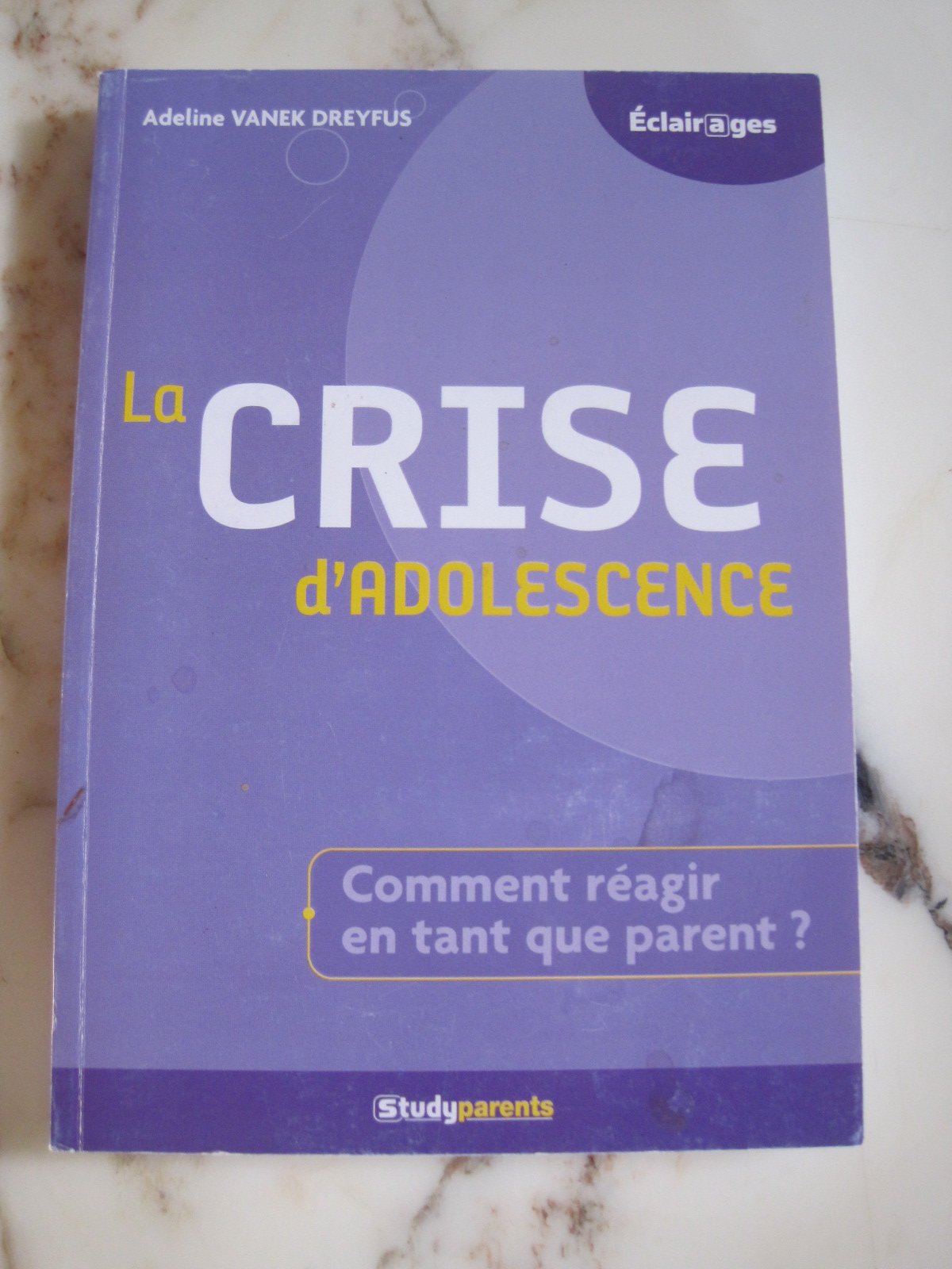 La crise d'adlescence: comment réagir en tant que parents ? book