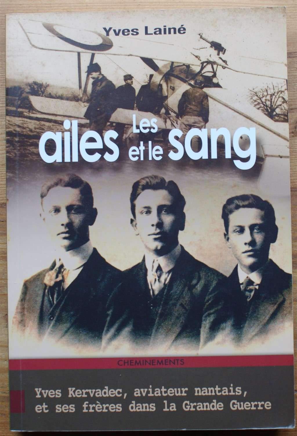 Les ailes et le sang : Yves Kervadec, aviateur nantais, et ses frères dans la Grande Guerre Books