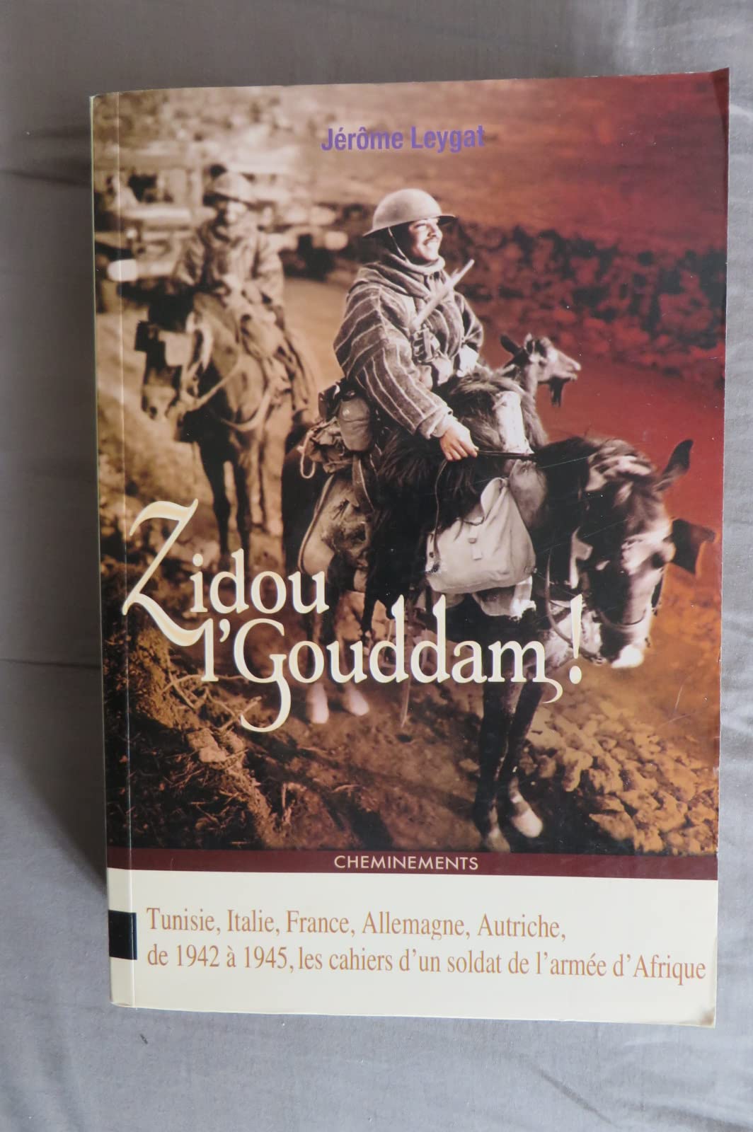 Zidou l'gouddam (en avant !): Tunisie, Italie, France, Allemagne, Autriche : les cahiers d'un soldat de l'armée d'Afrique book