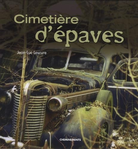Cimetière d'épaves: L'esprit du Vieux book