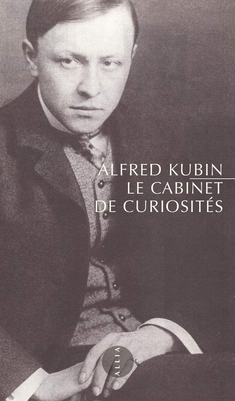 Le Cabinet de curiosités et autres textes: Suivi de Une littérature panoramique book