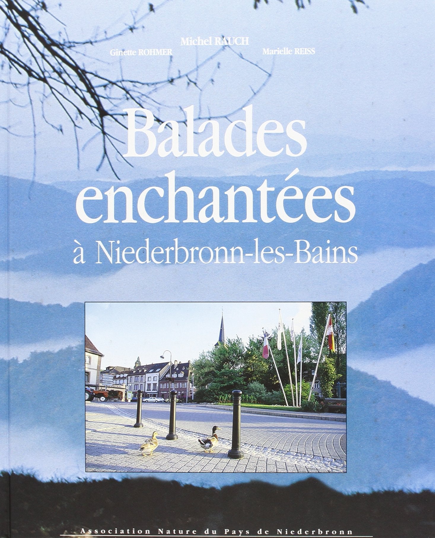 Balades Enchantées à Niederbronn-les-bains Politics & History