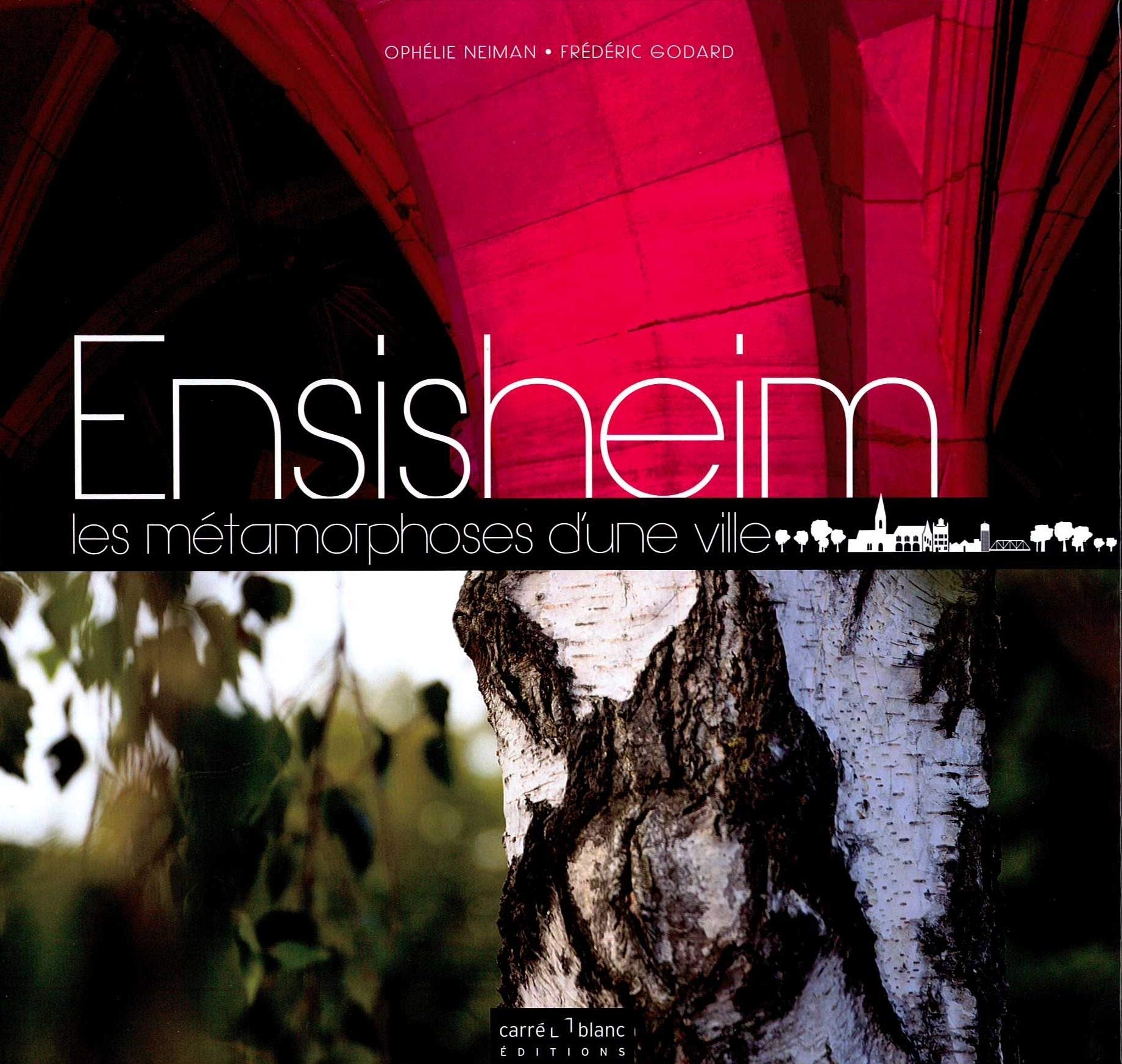 ENSISHEIM : LES METAMORPHOSE D'UNE VILLE Film, Art & Culture
