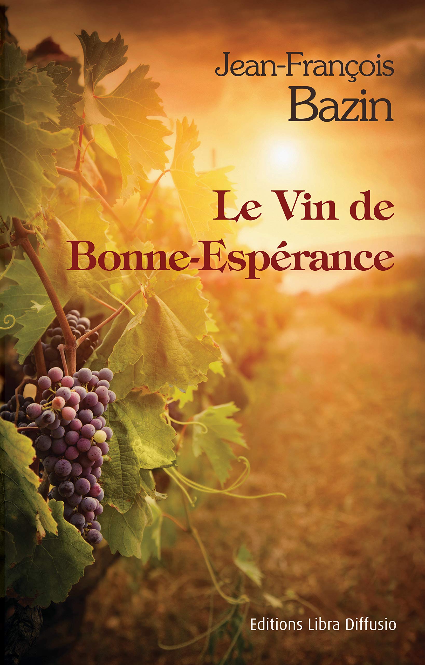 Le vin de Bonne-Espérance book