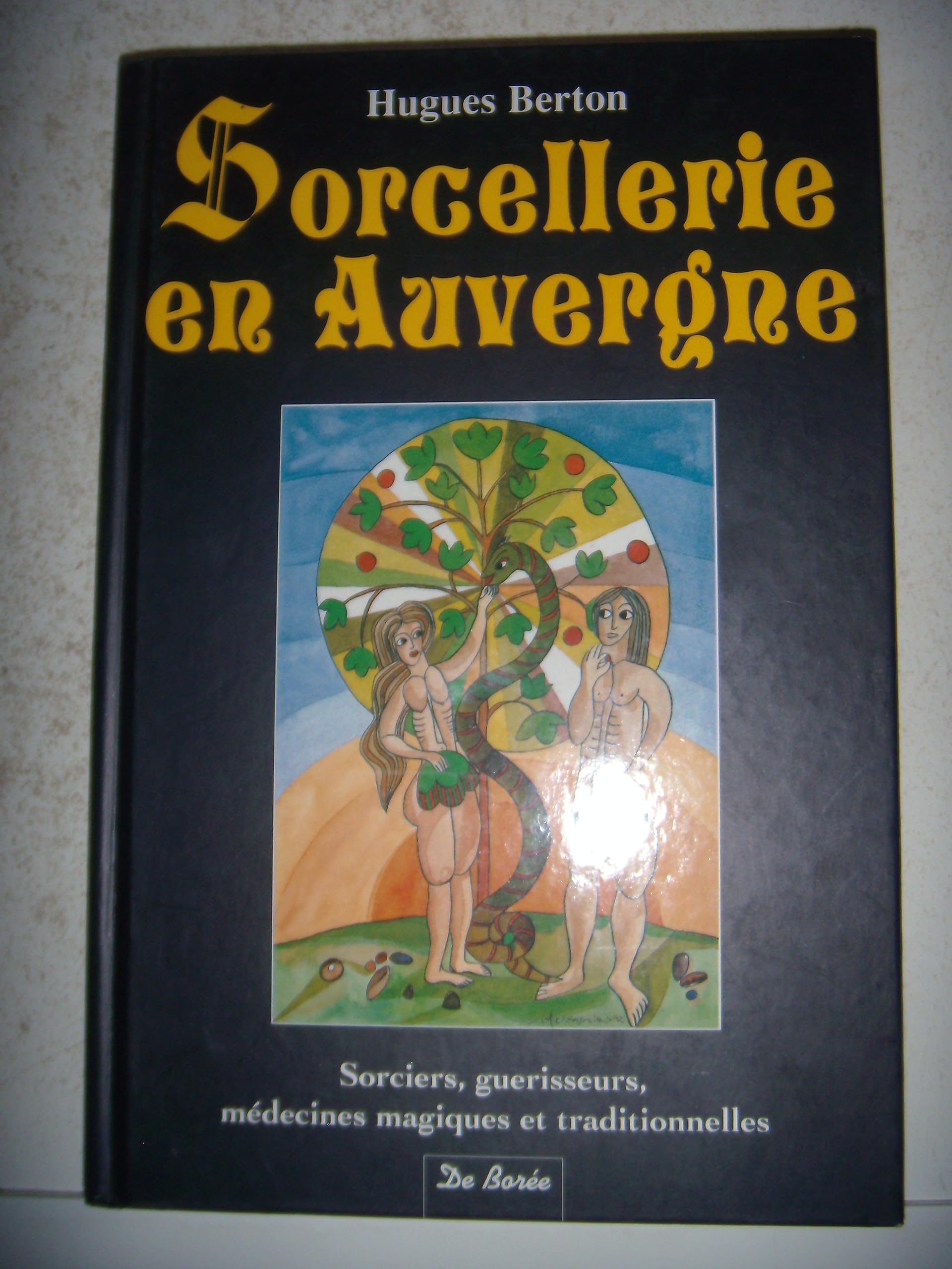 Sorcellerie en Auvergne : Sorciers, guérisseurs, médecines magiques et traditionnelles book