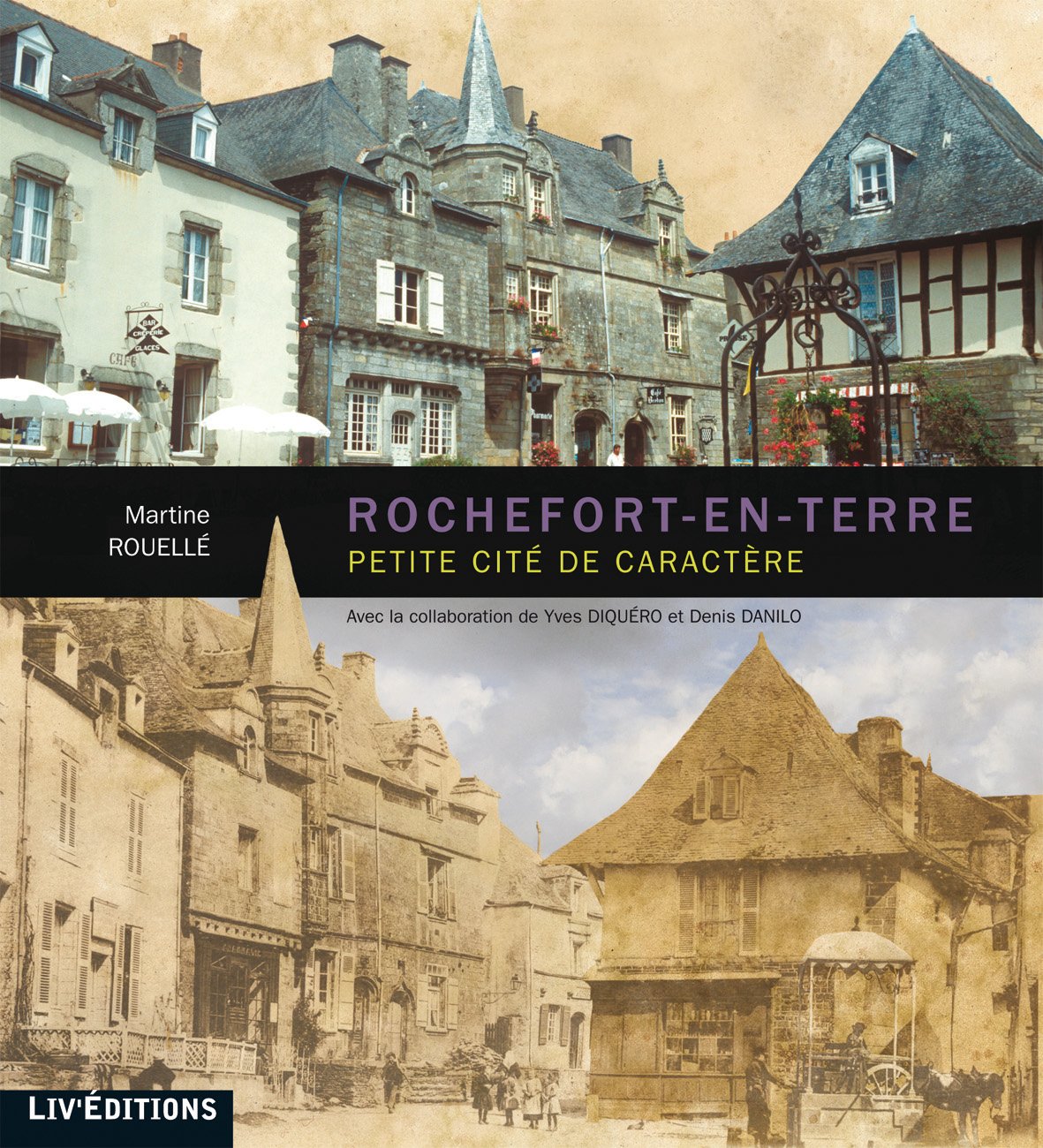 Rochefort-en-Terre, petite cité de caractère book