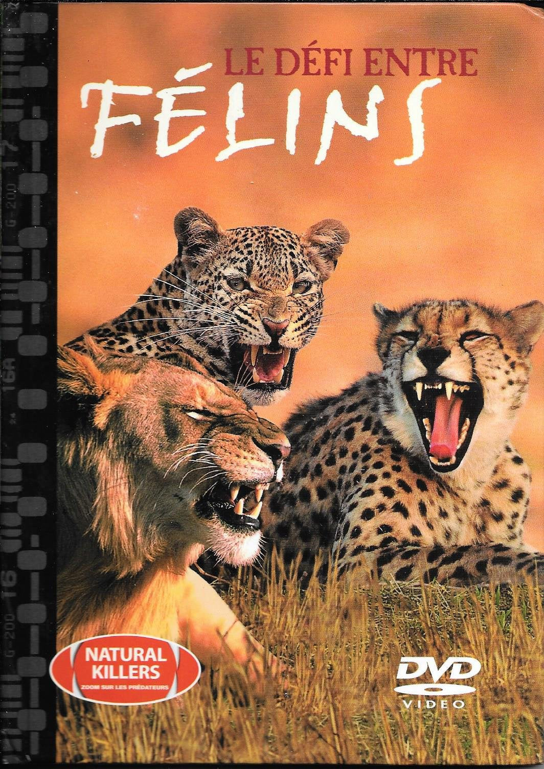 Le défi entre félins - Livre DVD Films