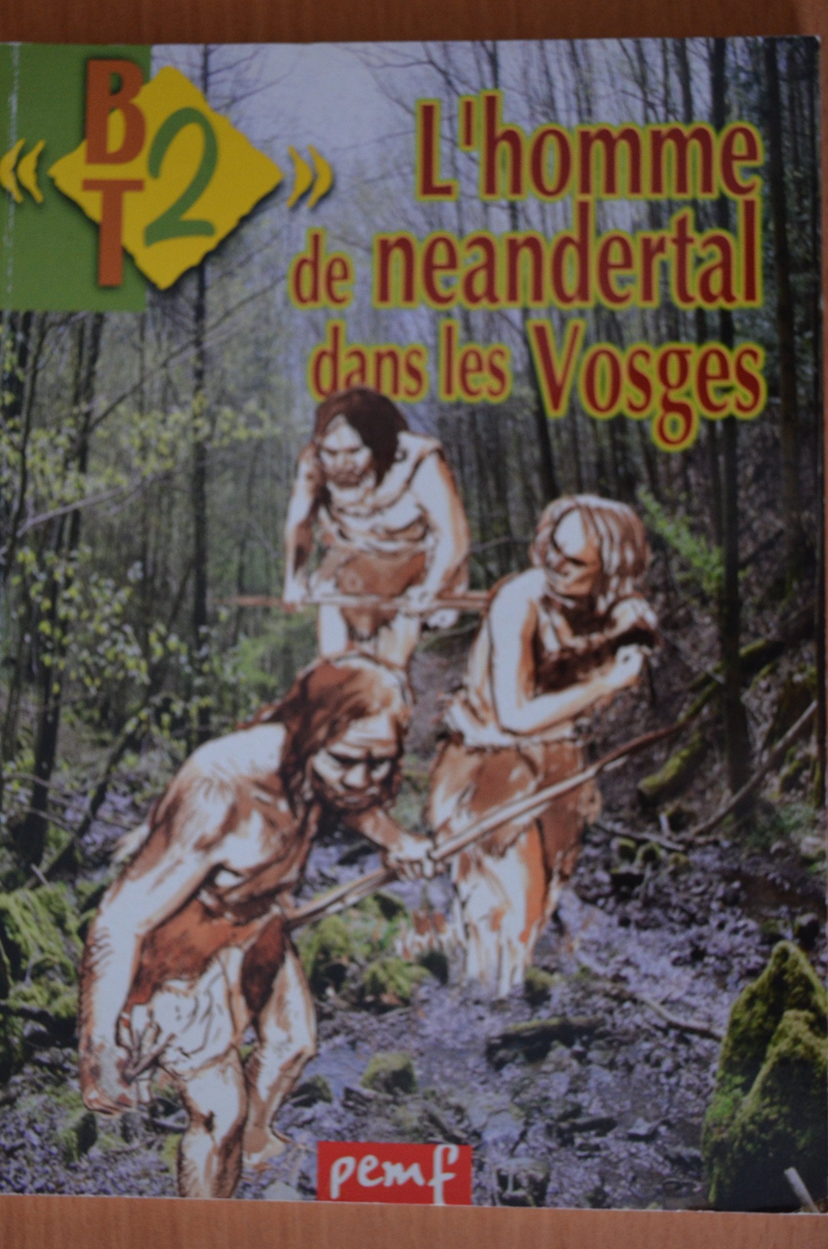 L'homme de Neandertal dans les Vosges Books