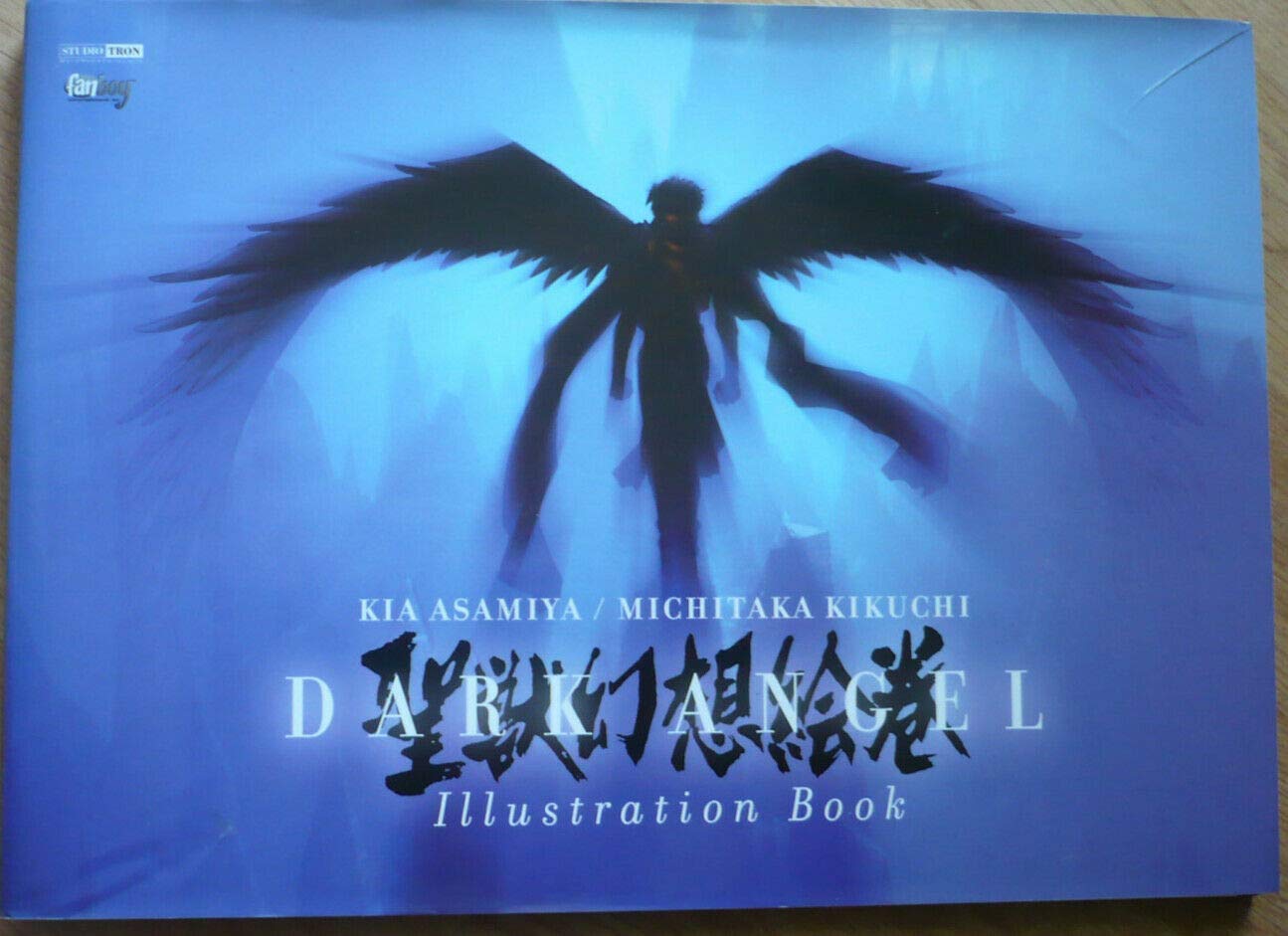 Dark Angel : illustration book book