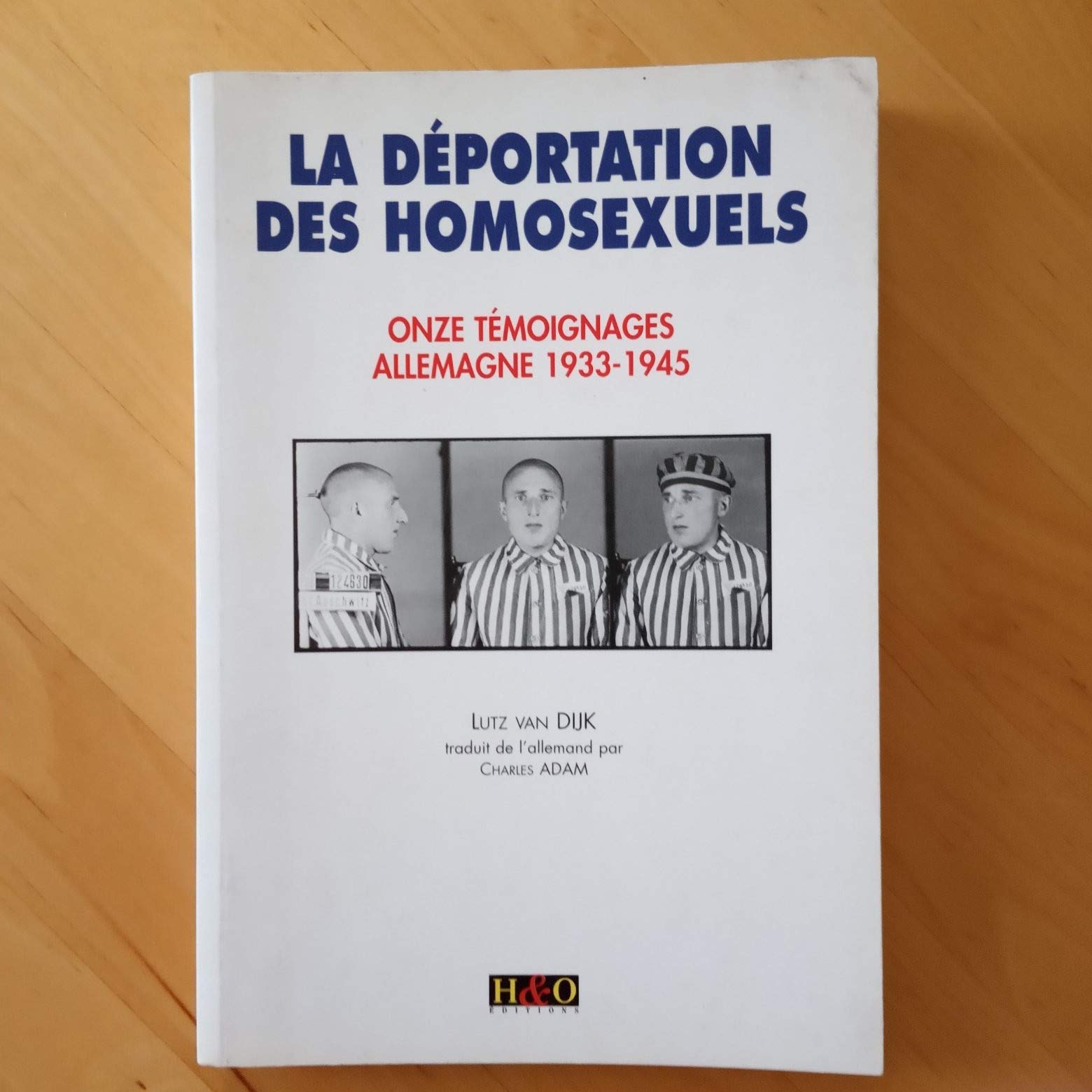 La déportation des homosexuels : onze témoignages, Allemagne 1933-1945 Film, Art & Culture