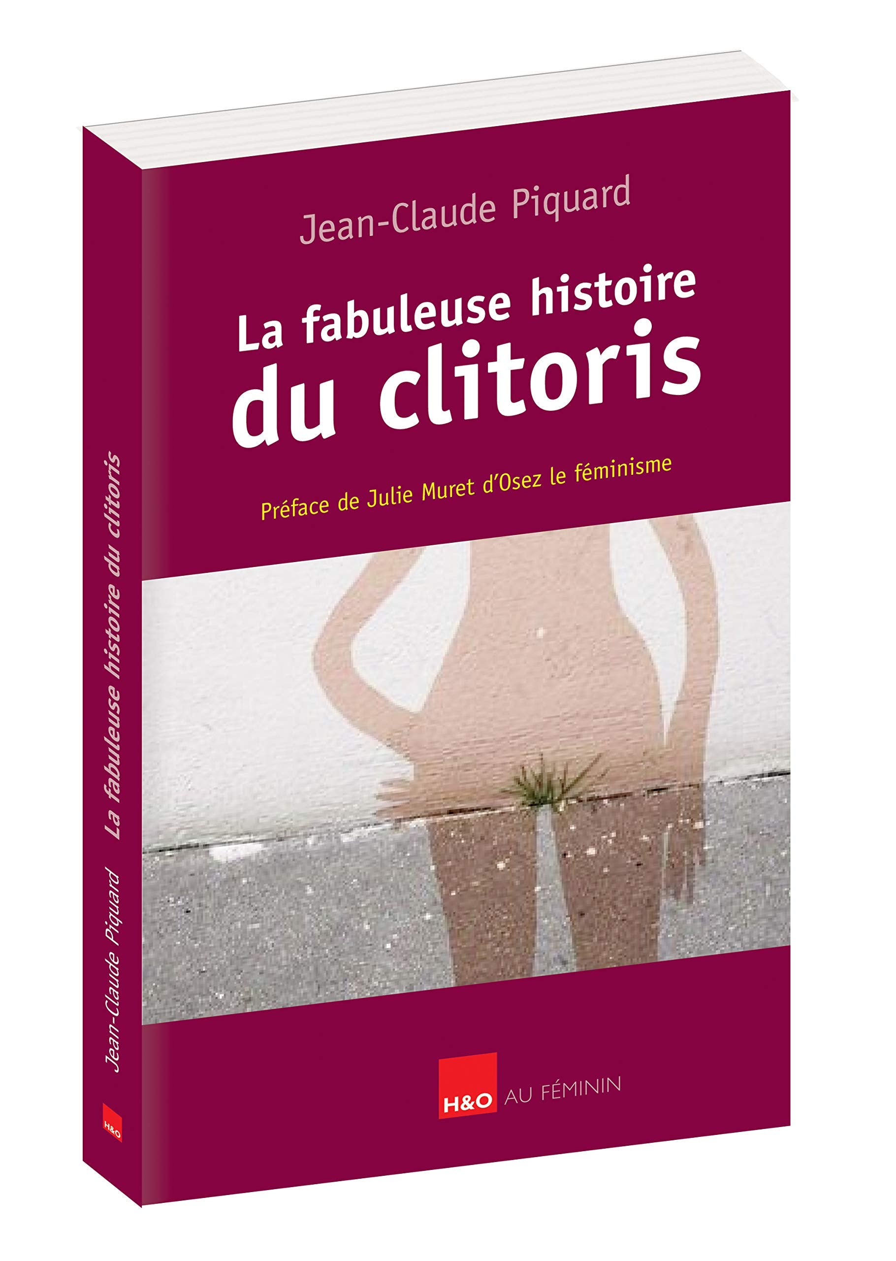 La fabuleuse histoire du clitoris Contemporary literature