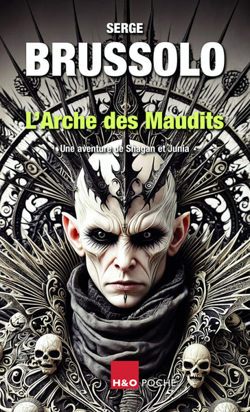 L'arche des maudits : une aventure de Shagan et Junia : fantasy book