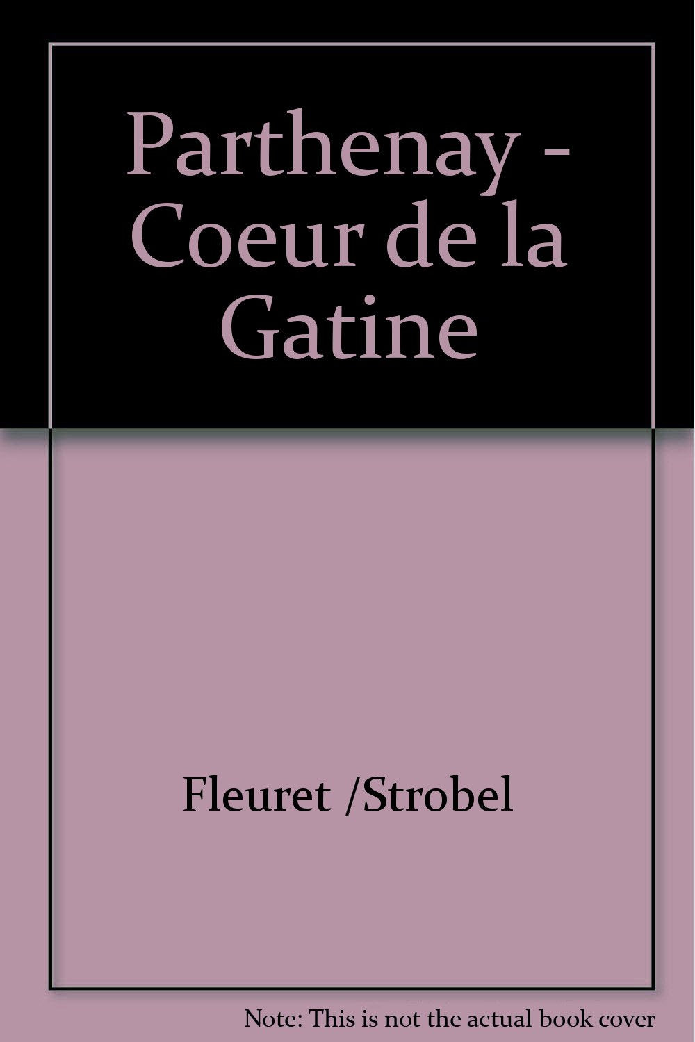 Parthenay - Coeur de la Gatine book