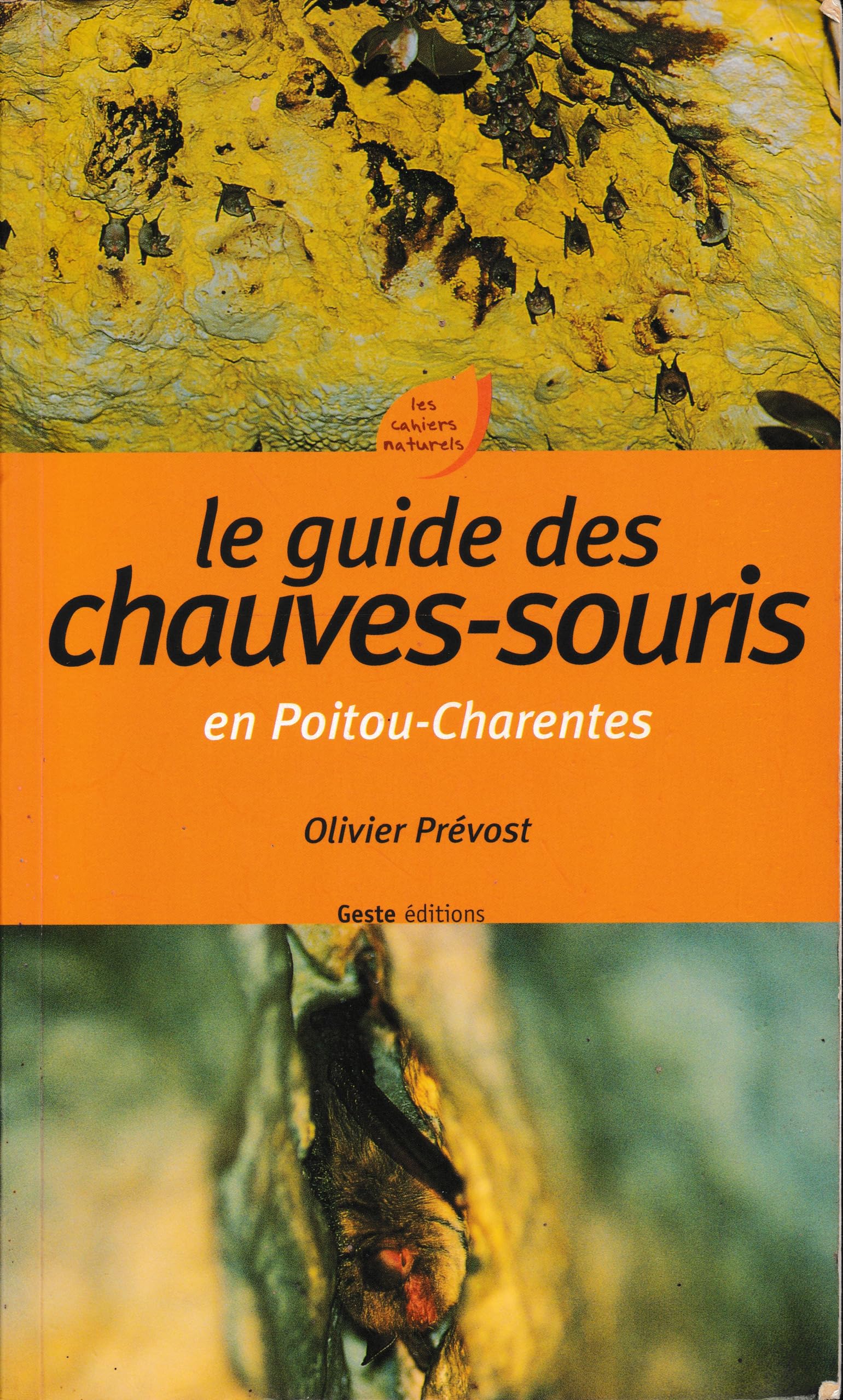 Le guide des chauve-souris en Poitou-Charentes book