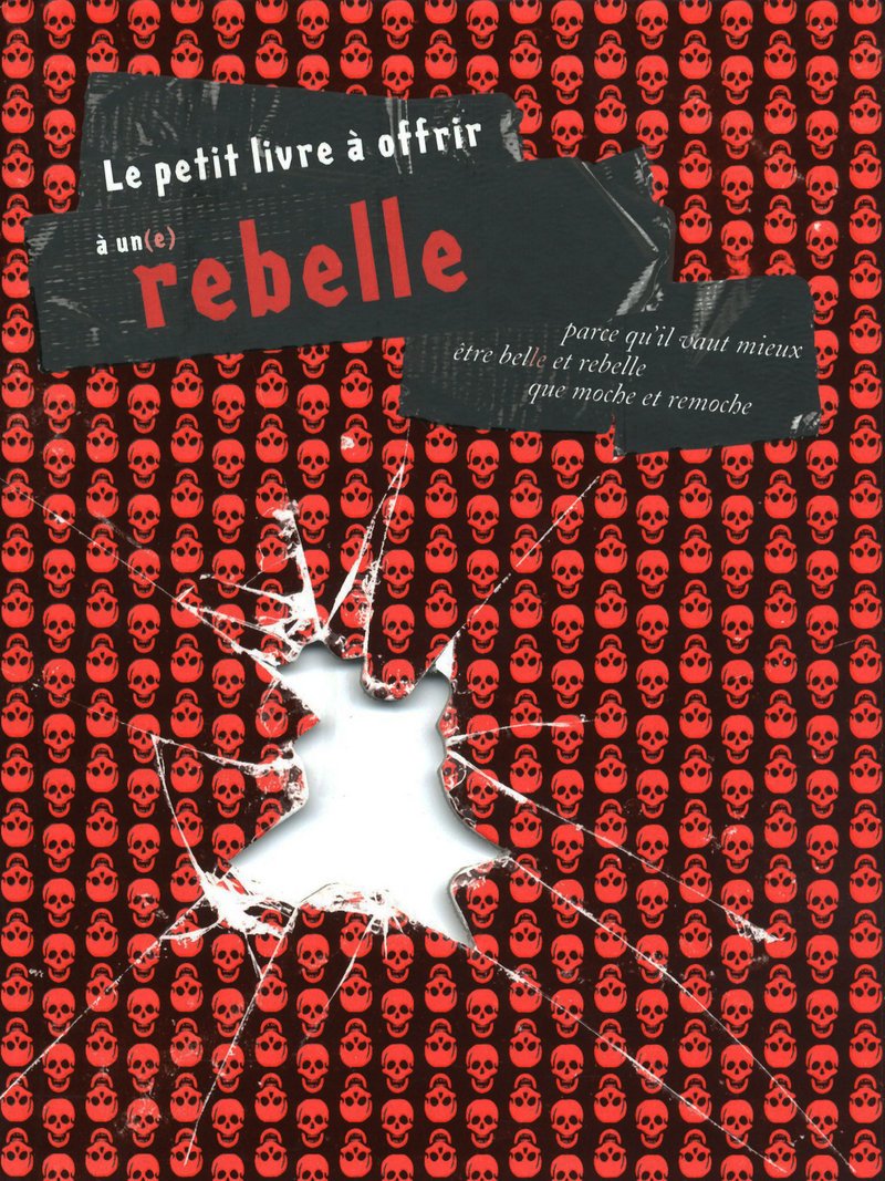 LE PETIT LIVRE A OFFRIR A UN REBELLE book