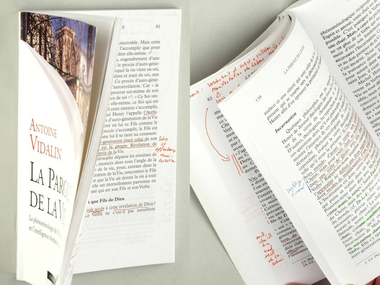 parole de vie: La phénoménologie de Michel Henry et l'intelligence chrétienne des Ecritures Religion & Esotericism