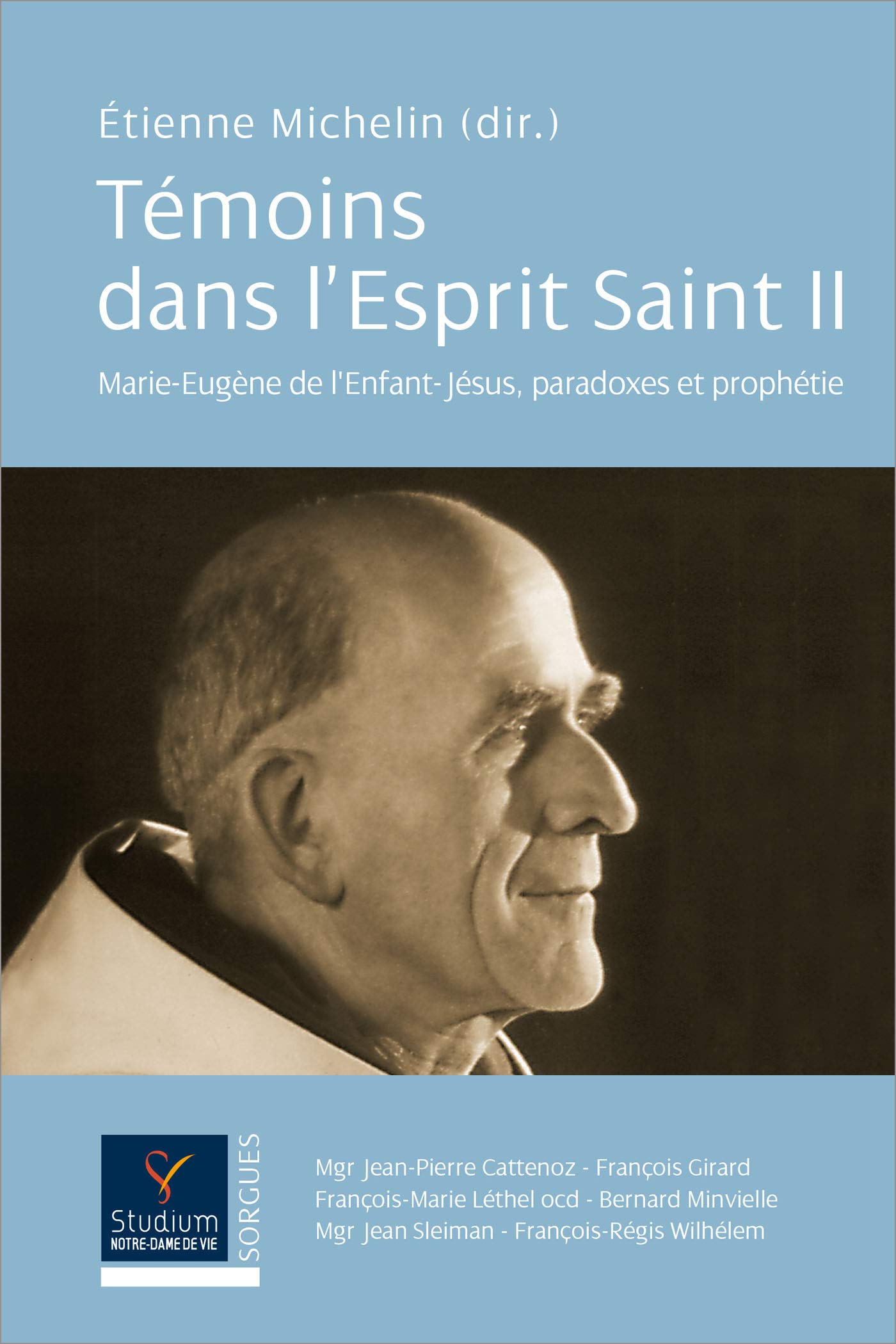 Témoins dans l'Esprit saint, t. II. Marie Eugène de l'Enfant Jesus, paradoxes et prophétie book