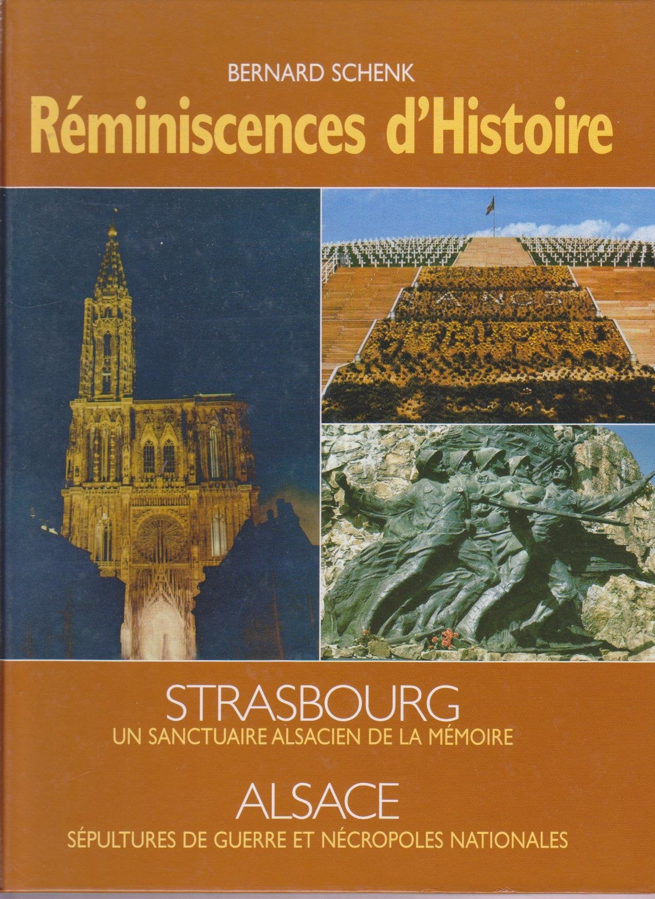 Réminiscences d'histoire : Alsace, témoignages muets des soldats de pierre book