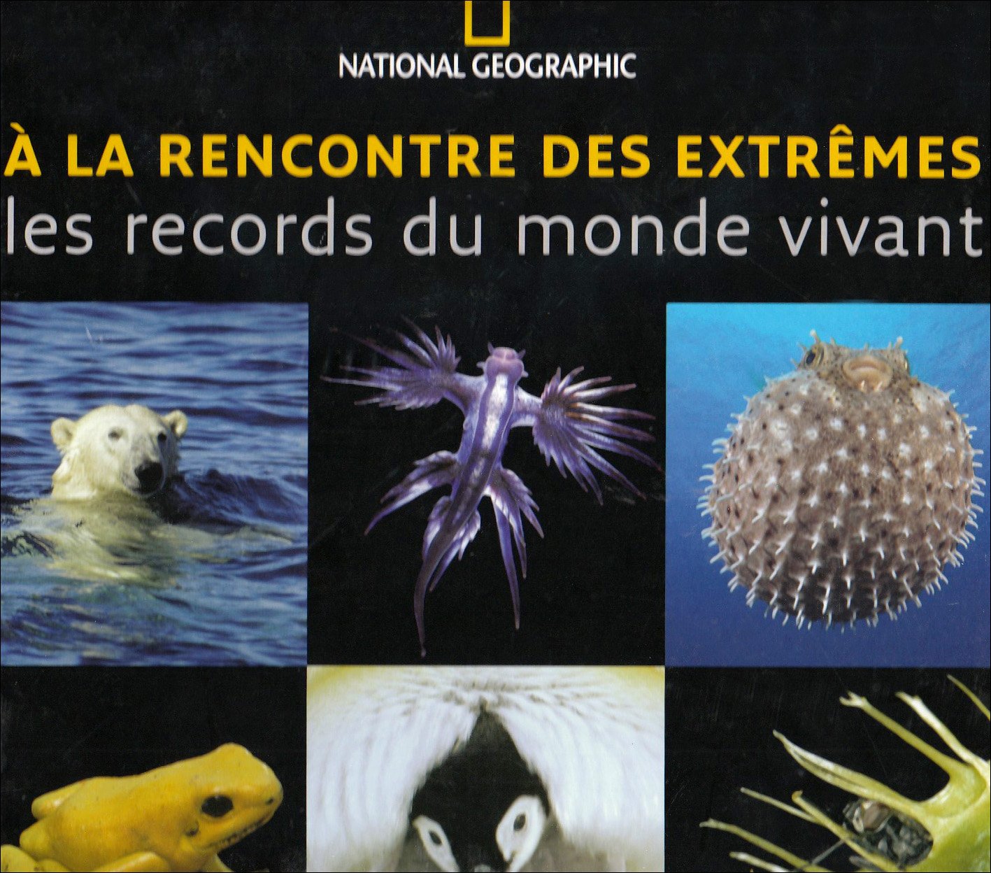 A la rencontre des extrêmes: Les records du monde vivant book