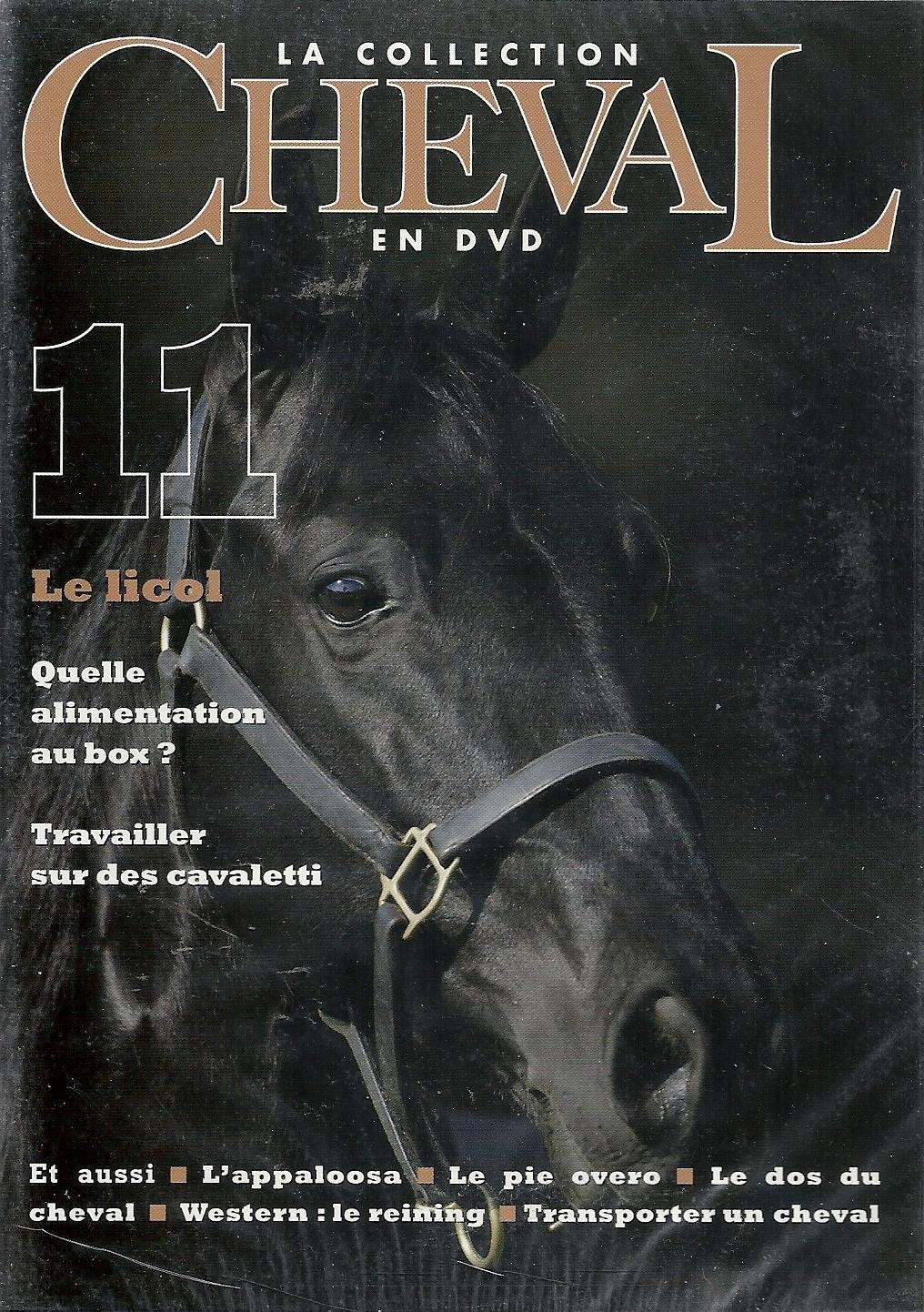 La Collection Cheval Le Licol dvd