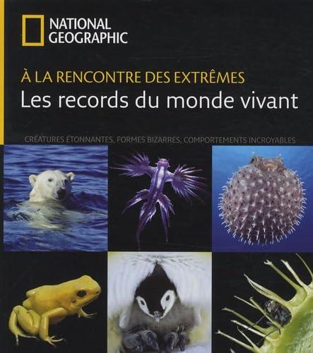 A la rencontre des extremes ned Film, Art & Culture