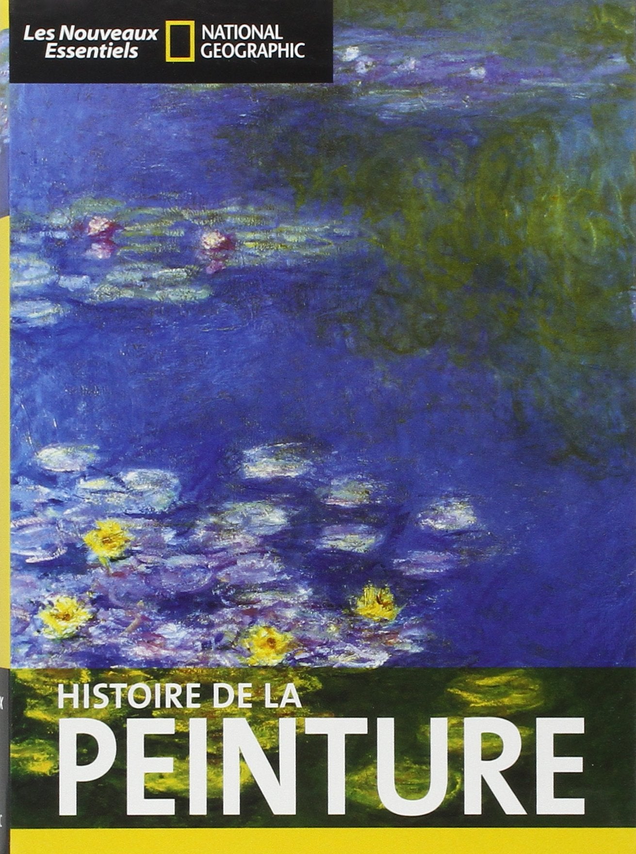 Histoire de la peinture book