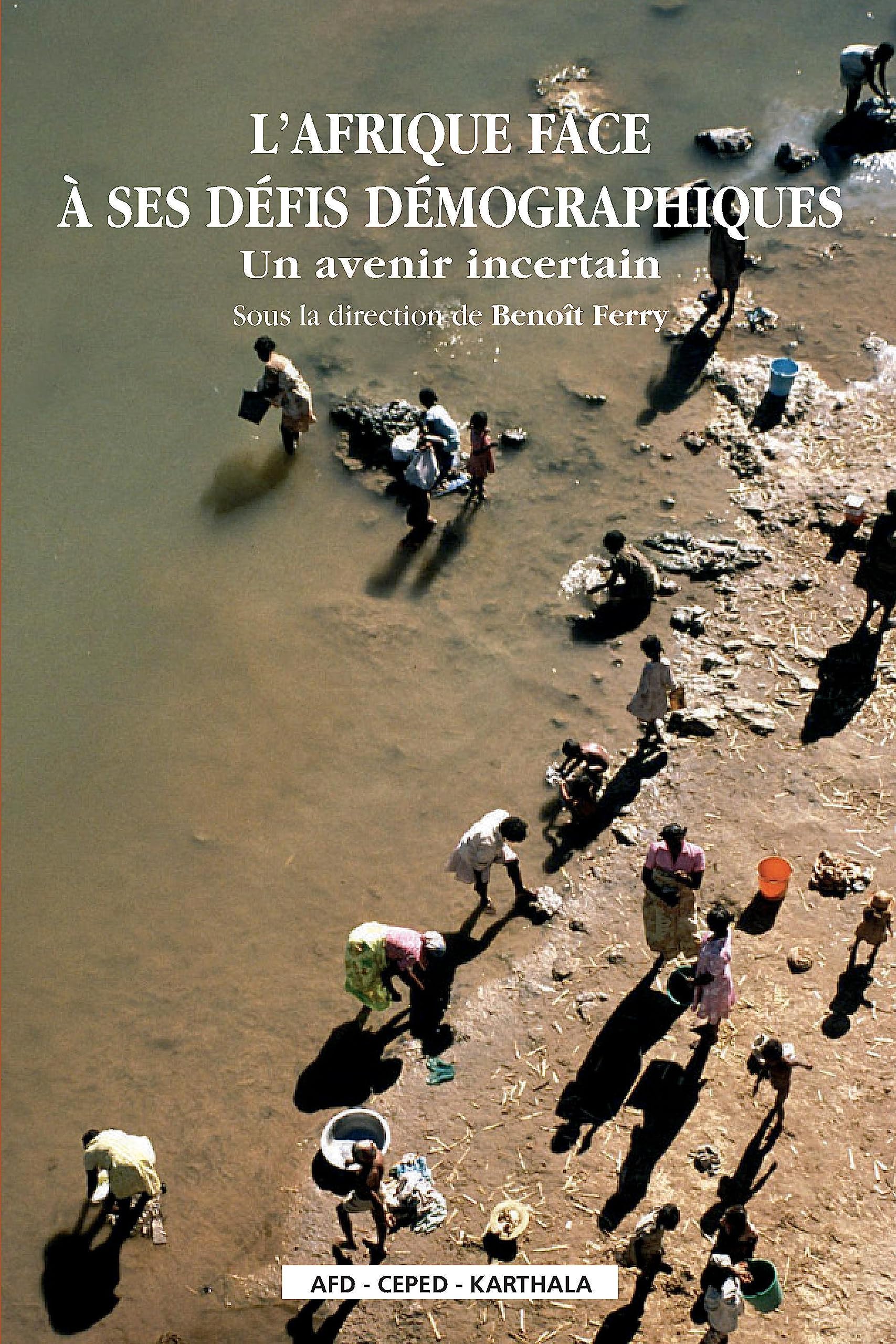 L'Afrique face à ses défis démographiques : Un avenir incertain book