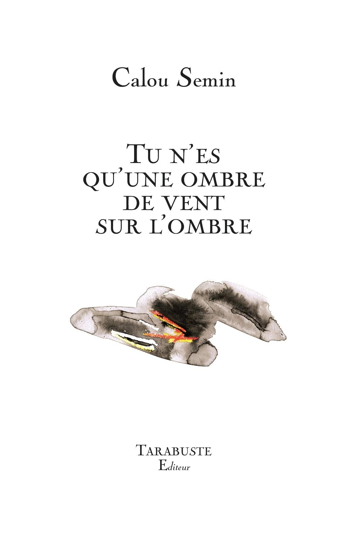 Tu n'es qu'une ombre de vent sur l'ombre book