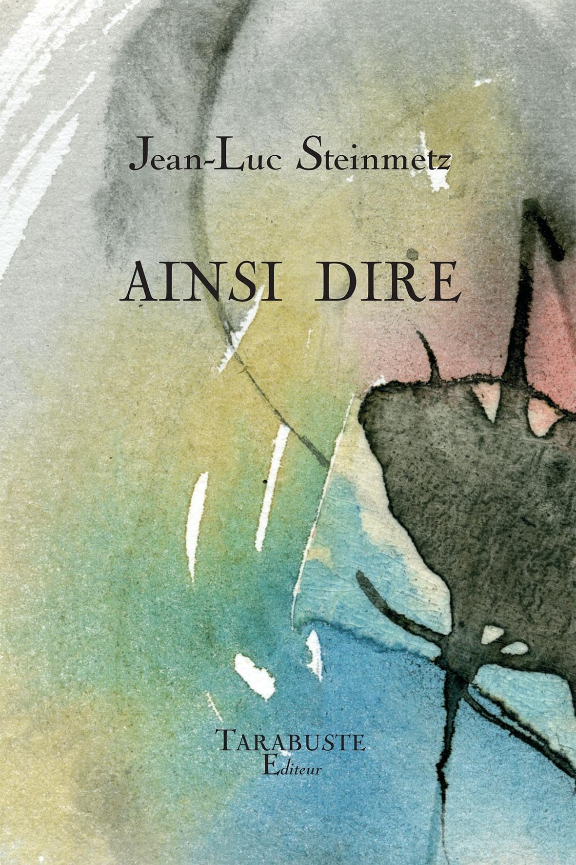 AINSI DIRE - Jean-Luc Steinmetz book